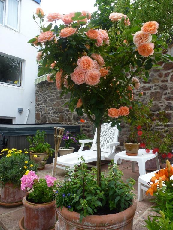 Bayview Guest House Saint Helier Jersey Екстериор снимка