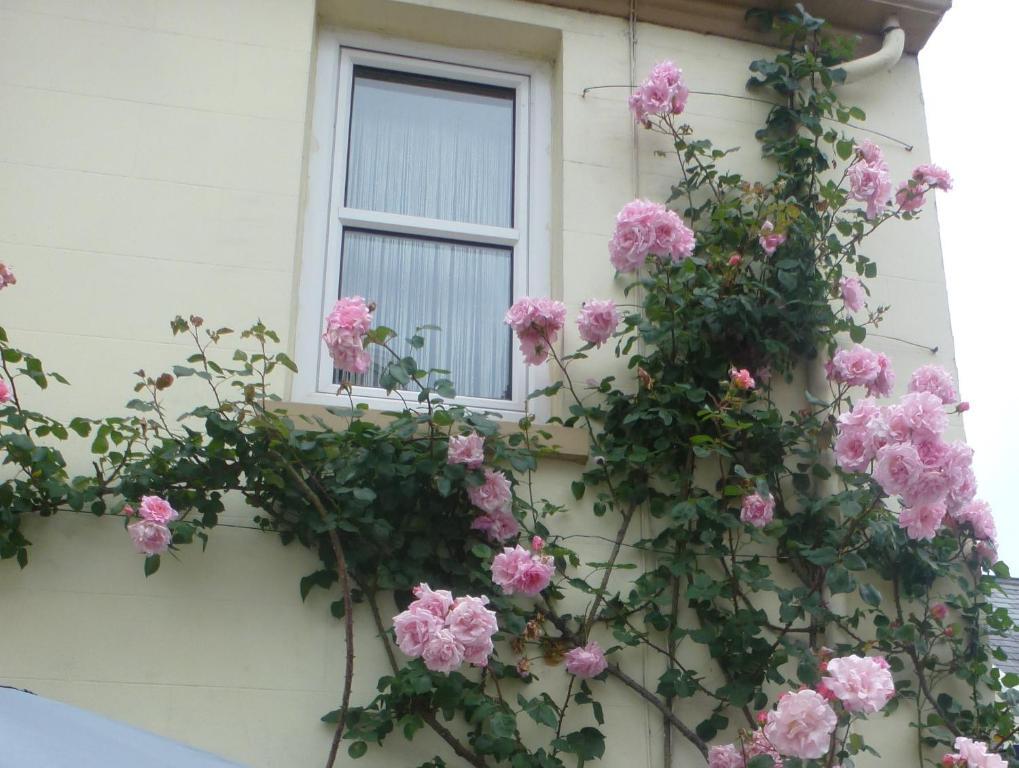 Bayview Guest House Saint Helier Jersey Екстериор снимка